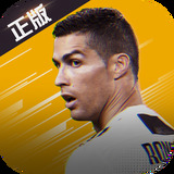 AO宝典正版安卓版